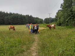 Rok szkolny 2016 /2017