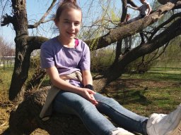 Rok szkolny 2016 /2017