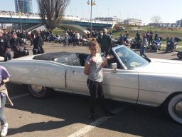 Rok szkolny 2016 /2017